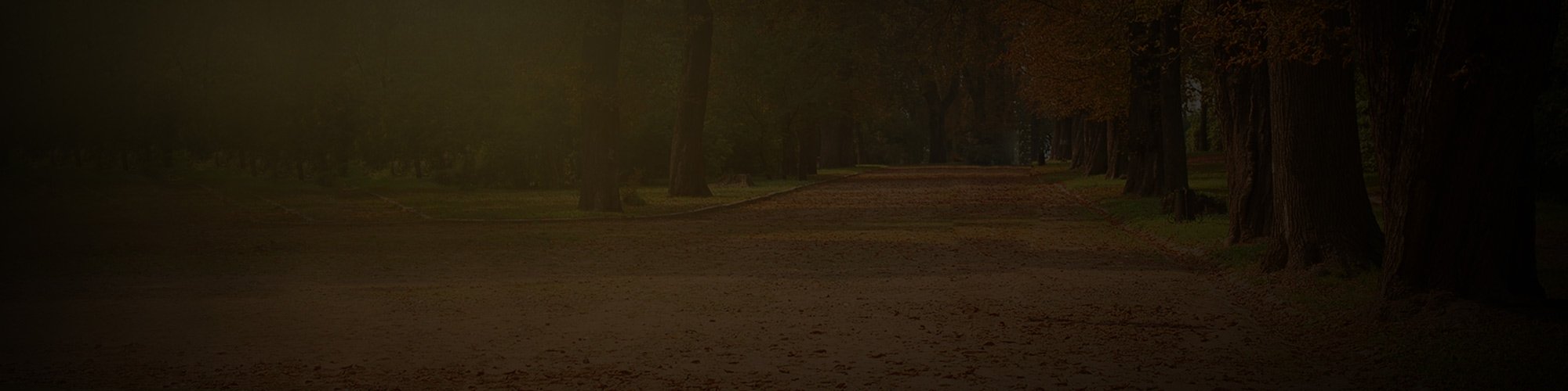 Sample Ad 2