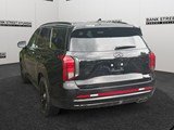 2025 Hyundai Palisade Ultimate Calligraphy Night image 3