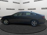 2022 Chevrolet Malibu LS w/1LS image 2