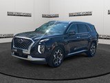 2021 Hyundai Palisade Ultimate Calligraphy image 1