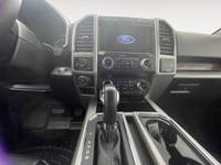2020 Ford F-150 XL 4WD SuperCrew 5.5' Box