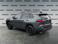 2020 Toyota RAV4 Trail AWD