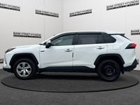 2023 Toyota RAV4 LE AWD