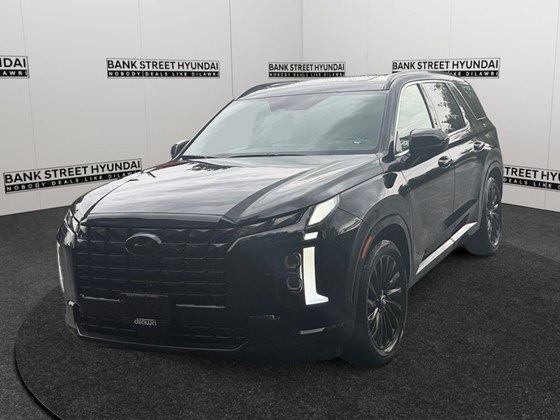 2025 Hyundai Palisade Ultimate Calligraphy Night