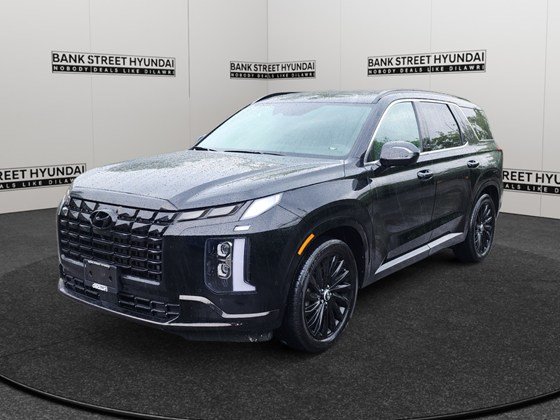2025 Hyundai Palisade Ultimate Calligraphy Night