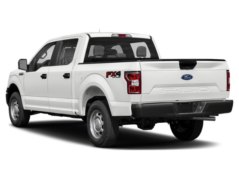 2018 Ford F-150 XL 4WD SuperCrew 5.5' Box Exterior Shot 10