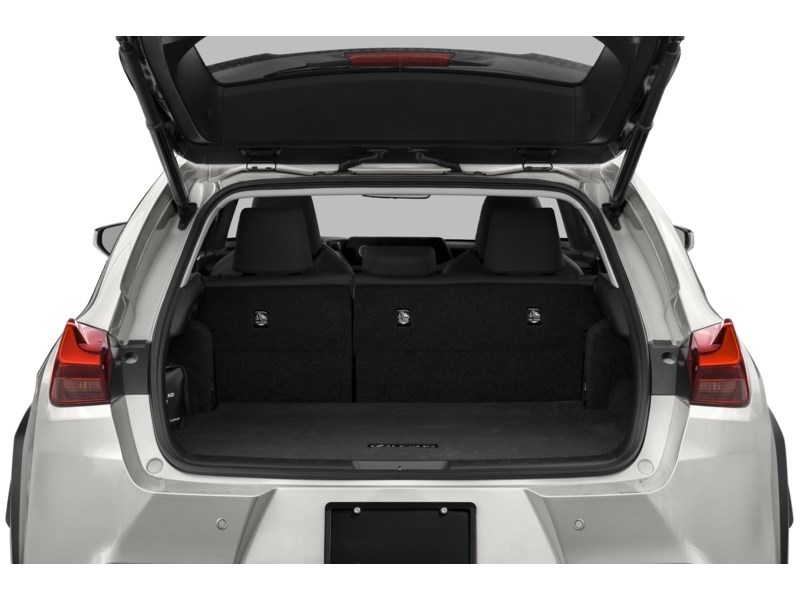 2021 Lexus UX 250h UX 250h CVT Exterior Shot 4