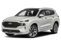 2021 Hyundai Santa Fe Ultimate Calligraphy AWD Exterior Shot 1