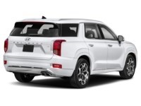 2021 Hyundai Palisade Ultimate Calligraphy 7-Passenger AWD Exterior Shot 2