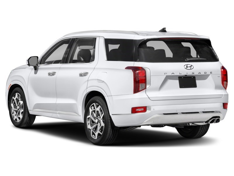 2021 Hyundai Palisade Ultimate Calligraphy 7-Passenger AWD Exterior Shot 9