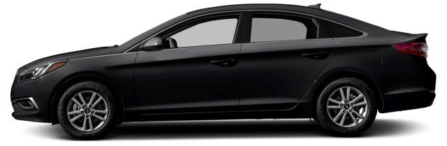 Black Noir Pearl Metallic [Black]