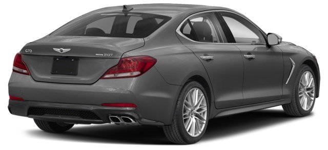 Himalayan Grey [Grey]