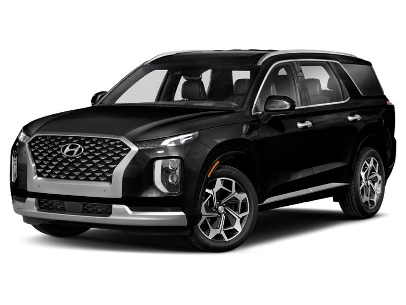 2021 Hyundai Palisade Ultimate Calligraphy 7-Passenger AWD Abyss  Shot 4