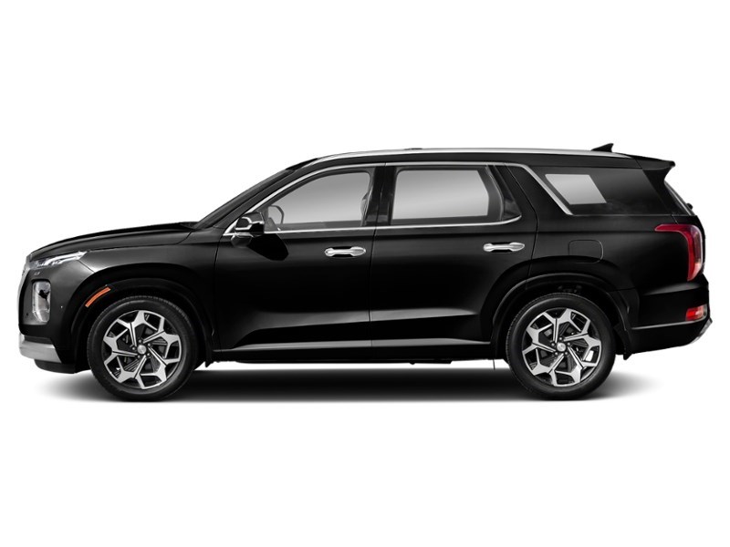 2021 Hyundai Palisade Ultimate Calligraphy 7-Passenger AWD Abyss  Shot 5