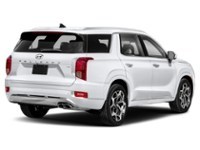 2021 Hyundai Palisade Ultimate Calligraphy 7-Passenger AWD Hyper White  Shot 6