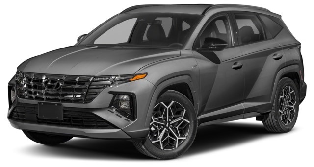 Amazon Grey [Grey]
