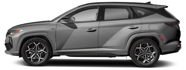Amazon Grey [Grey]