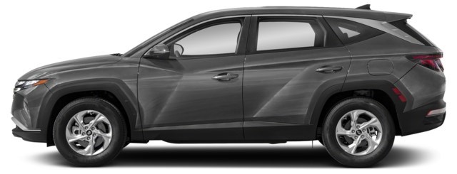 Amazon Grey [Grey]