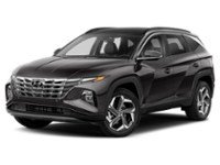 2023 Hyundai Tucson Hybrid Ultimate AWD Ash Black  Shot 4