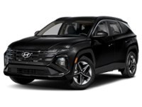 2025 Hyundai Tucson Preferred AWD Ash Black  Shot 10