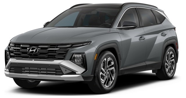 Colour Sample Image 0