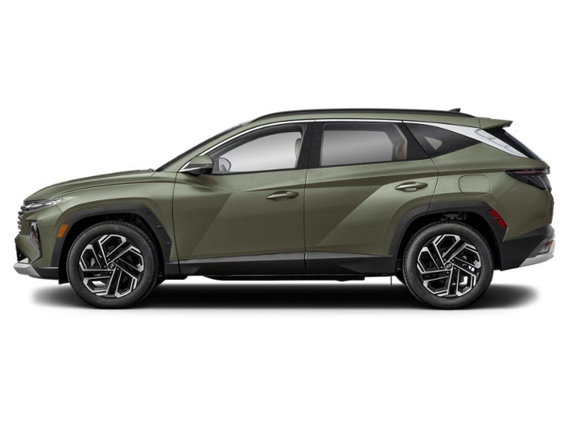 2025 Hyundai Tucson Preferred AWD w/Trend Pkg Rockwood Green  Shot 5