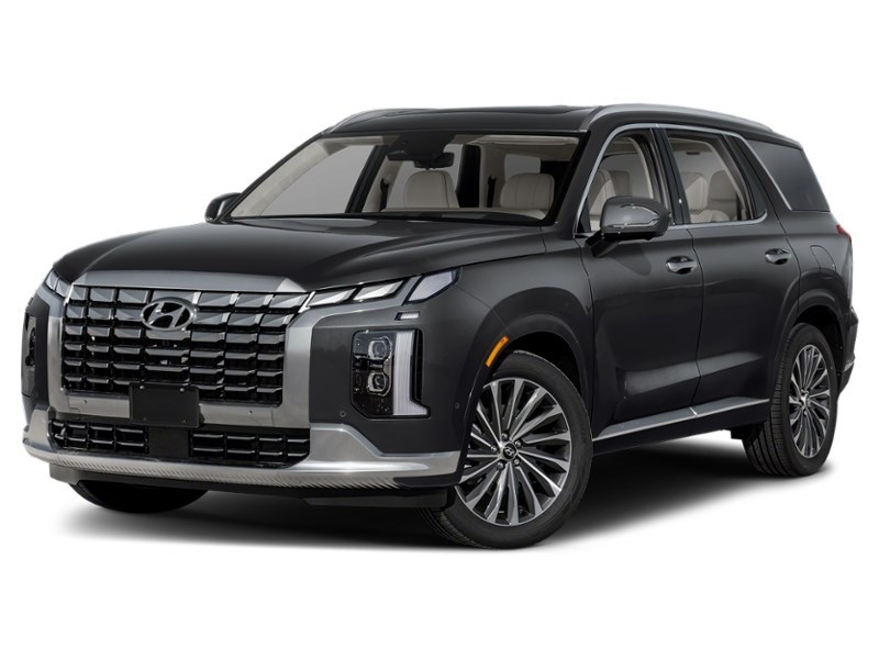 2025 Hyundai Palisade Ultimate Calligraphy 7-Passenger AWD Abyss Black  Shot 4
